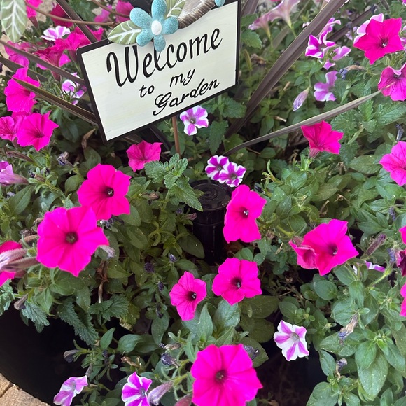 Howdy! - Picture 5 of 7